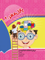 کتاب پازل مغز2